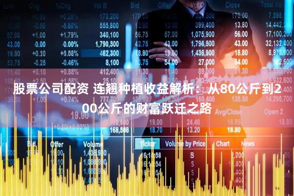 股票公司配资 连翘种植收益解析：从80公斤到200公斤的财富跃迁之路